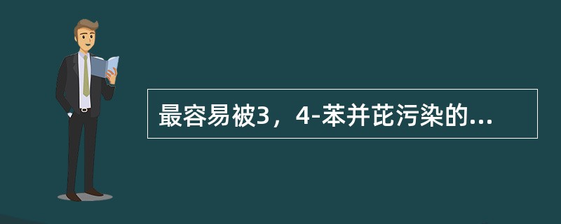 最容易被3,4-苯并芘污染的食品有 最容易被3,4-苯并芘污染的食品有