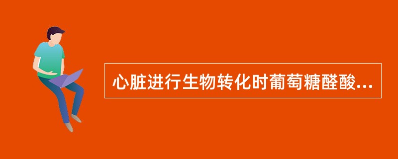 心脏进行生物转化时葡萄糖醛酸的活性供体是（）