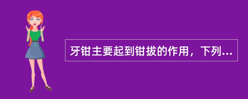 牙钳主要起到钳拔的作用，下列哪种牙钳还同时具有牙挺的作用（）