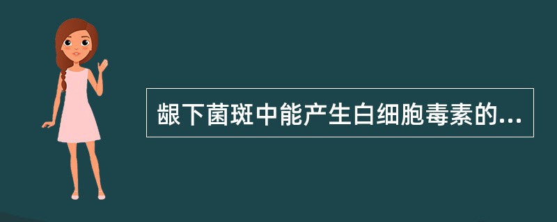 龈下菌斑中能产生白细胞毒素的细菌是（）