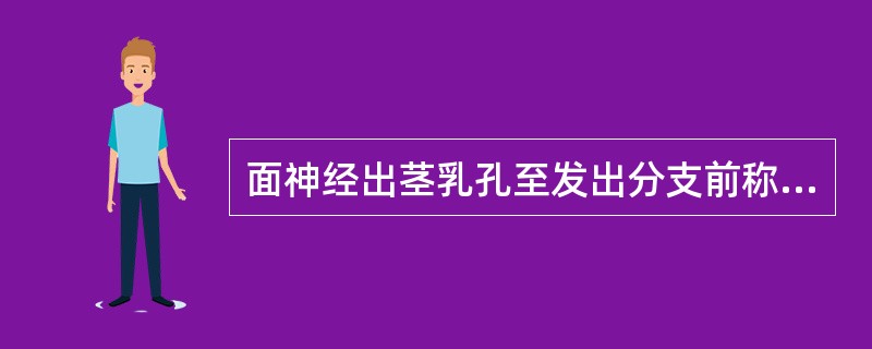 面神经出茎乳孔至发出分支前称为主干，面神经主干的长度为（）