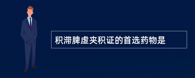 积滞脾虚夹积证的首选药物是