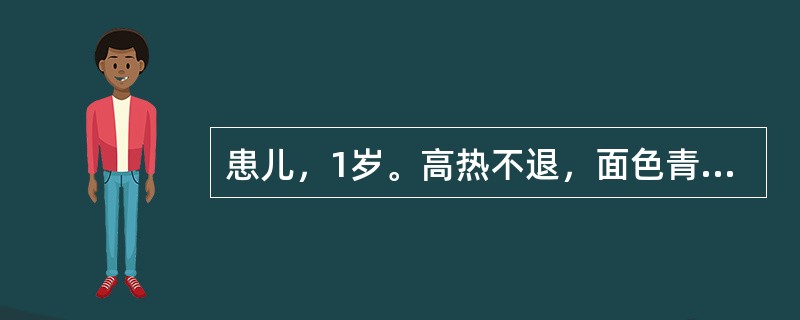 患儿，1岁。高热不退，面色青灰，烦躁不安，咳嗽气促，鼻翼煽动，喉间痰鸣，唇周发绀，皮疹稠密，疹色紫暗，大便秘结，小便短赤，舌红苔黄，脉数有力。治疗应首选