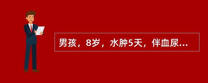 男孩，8岁，水肿5天，伴血尿、尿少3天入院。体检：颜面、双下肢明显水肿，烦躁、气促，呼吸32次／分，心率：110次／分，两肺底可闻少量湿啰音，血压：16／10.6kPa，肝肋下1cm，尿常规：蛋白（+