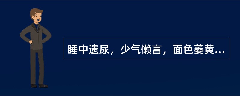 睡中遗尿，少气懒言，面色萎黄，纳呆便溏，属于
