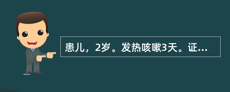 患儿，2岁。发热咳嗽3天。证见发热，无汗，呛咳不爽，呼吸气急，痰声重浊，咽不红，舌淡红，苔薄白，指纹浮红。其证候是