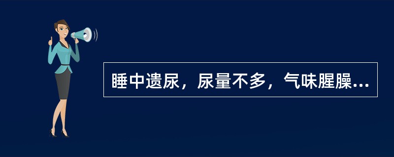 睡中遗尿，尿量不多，气味腥臊，尿色较黄，心情急躁，属于