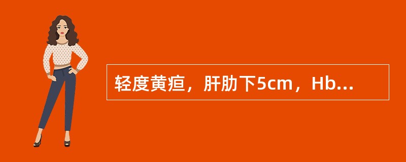 轻度黄疸，肝肋下5cm，Hb70g/L，网织红细胞0.08，血清铁20μmol/L，Coomb试验阳性。诊断应先考虑