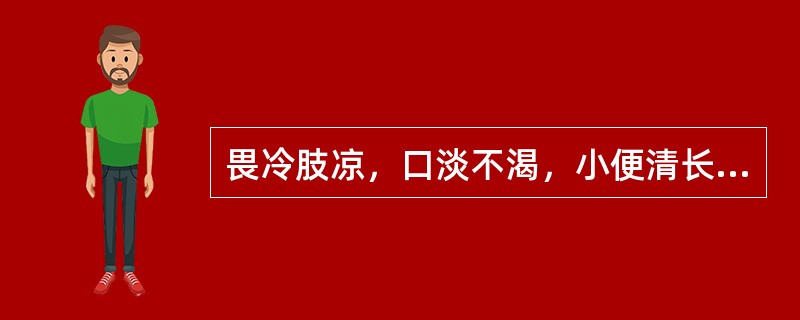 畏冷肢凉，口淡不渴，小便清长，大便稀薄，舌淡胖，苔白滑，脉沉迟无力，证属