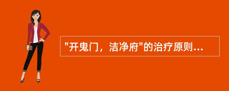 "开鬼门，洁净府"的治疗原则是哪部著作提出的