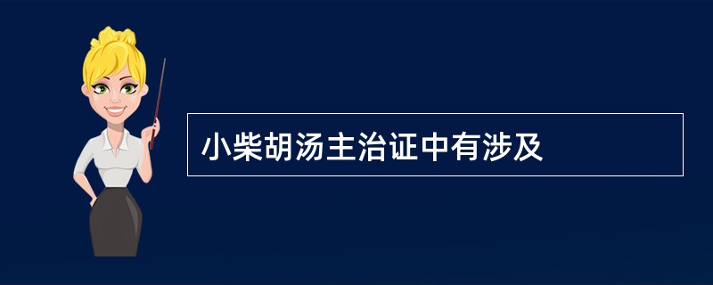 小柴胡汤主治证中有涉及