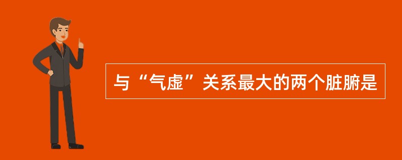 与“气虚”关系最大的两个脏腑是