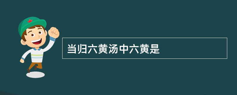 当归六黄汤中六黄是