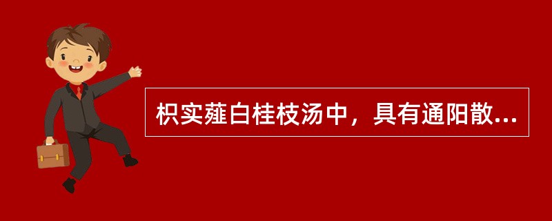 枳实薤白桂枝汤中，具有通阳散寒、降逆平冲作用的药物是