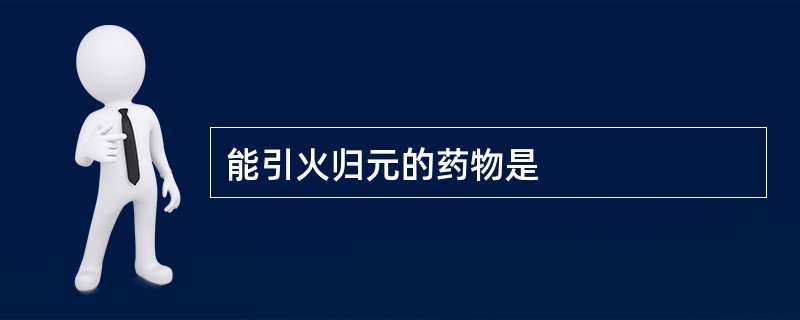 能引火归元的药物是