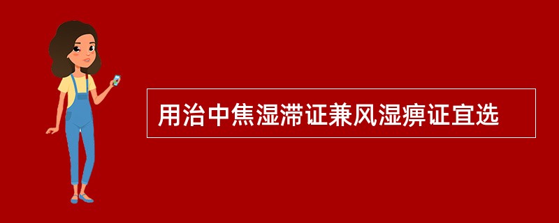 用治中焦湿滞证兼风湿痹证宜选