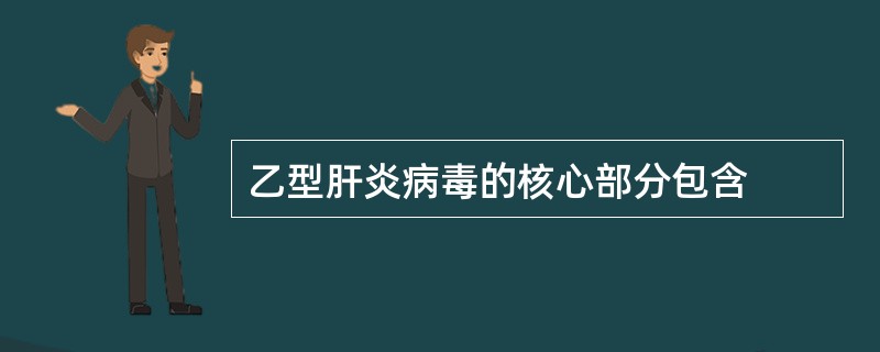 乙型肝炎病毒的核心部分包含