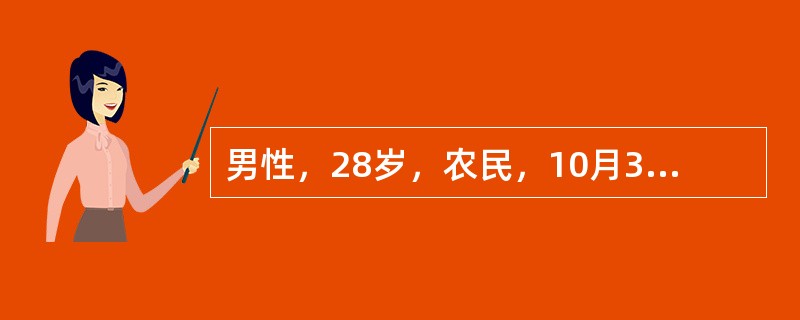 男性，28岁，农民，10月30日高热、头痛、腰痛、呕吐、腹泻，连续发热4天，鼻出血1次。1用扑热息痛后热退，但出现头晕、尿少、排尿痛。血象：白细胞数18×10<img src="htt