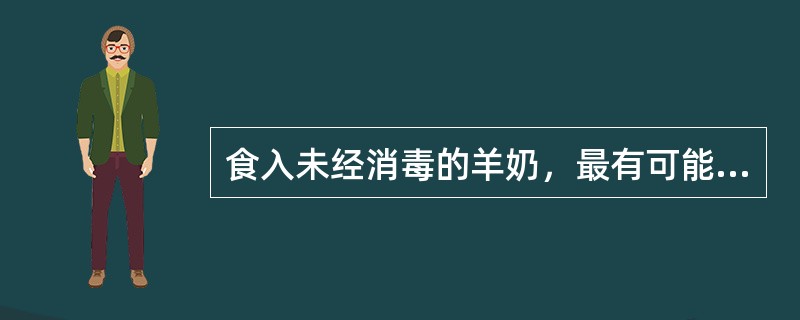 食入未经消毒的羊奶，最有可能罹患的疾病是