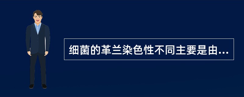 细菌的革兰染色性不同主要是由于下列哪种结构不同