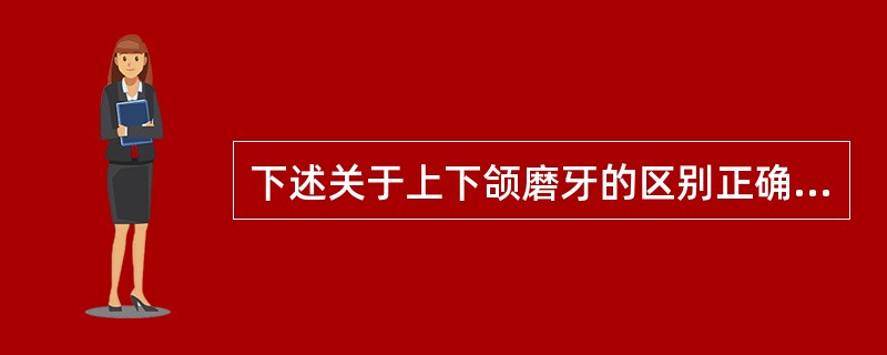 下述关于上下颌磨牙的区别正确的是（）