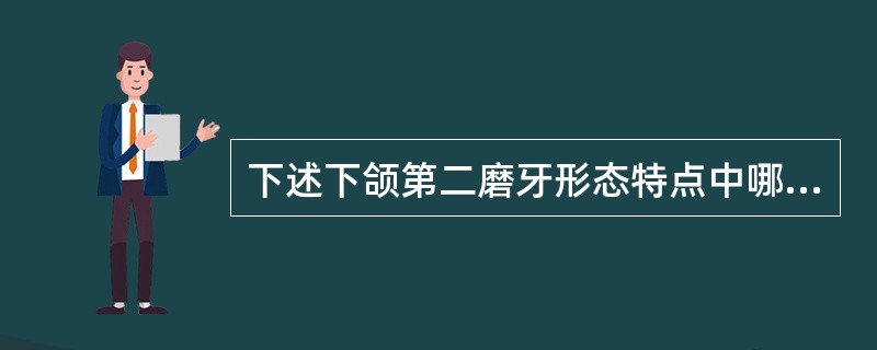 下述下颌第二磨牙形态特点中哪个不正确（）