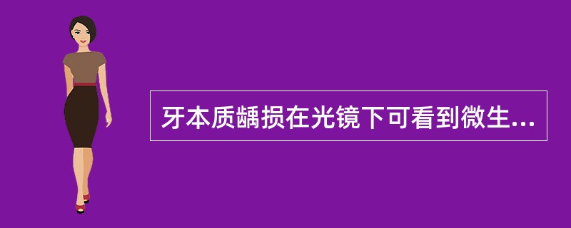 牙本质龋损在光镜下可看到微生物渗透至牙本质小管的区域是（）