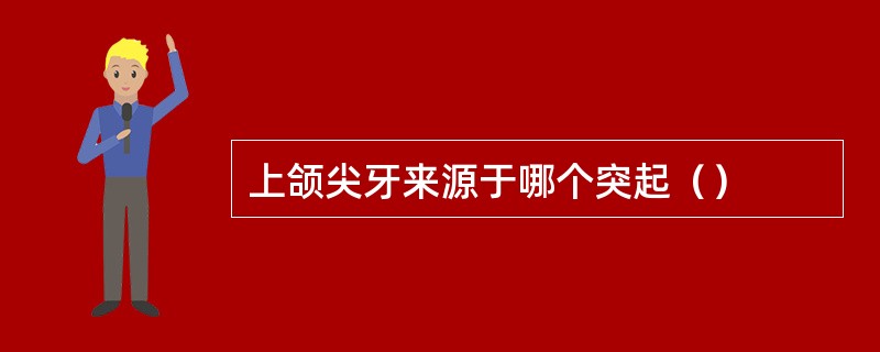 上颌尖牙来源于哪个突起（）