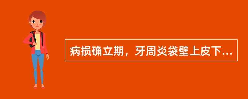 病损确立期，牙周炎袋壁上皮下的炎症浸润细胞主要是（）