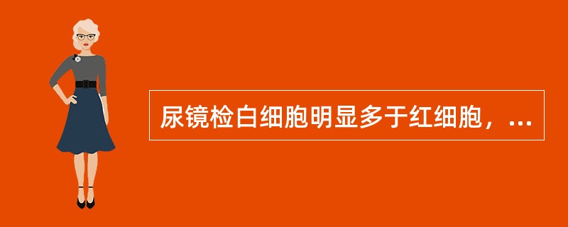 尿镜检白细胞明显多于红细胞，可见白细胞管型，蛋白增多不明显，常见于（）