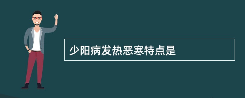 少阳病发热恶寒特点是