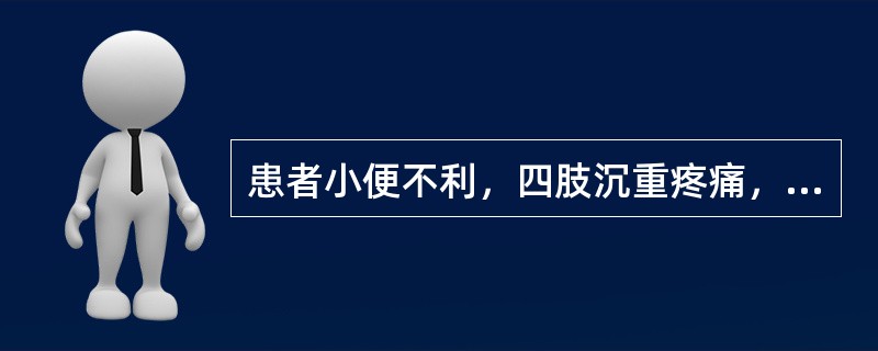 患者小便不利，四肢沉重疼痛，头眩，心悸，腹痛，便溏，舌淡有齿痕，苔白腻，脉沉，治用