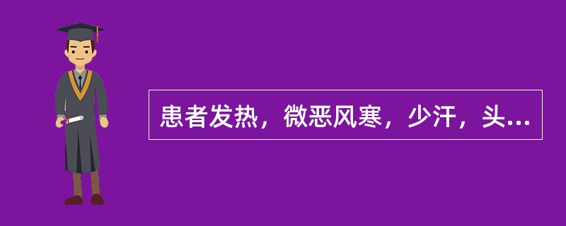 患者发热，微恶风寒，少汗，头痛，口微渴，舌边尖红苔薄黄，脉浮数。证属