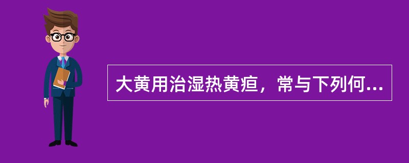 大黄用治湿热黄疸，常与下列何药配伍