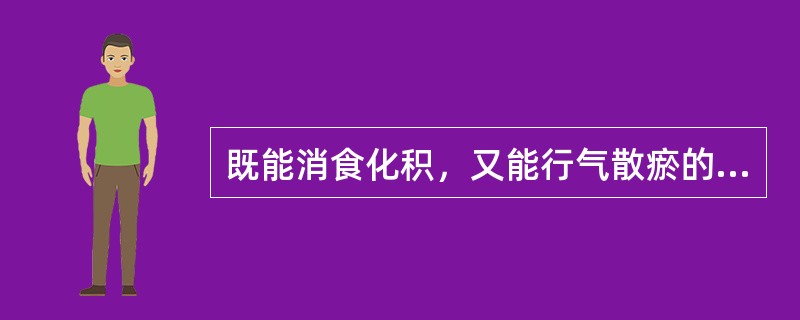 既能消食化积，又能行气散瘀的药物是