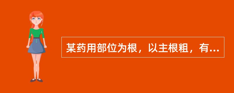 某药用部位为根，以主根粗，有支根，油润，外皮色黄棕，断面色黄白，气味浓郁者为佳。具有多数类圆形油室(分泌腔)，其挥发油主要为蒿本内酯及正丁烯基酰内酯。该药材的主要产地有