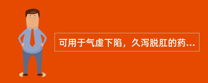 可用于气虚下陷，久泻脱肛的药物是