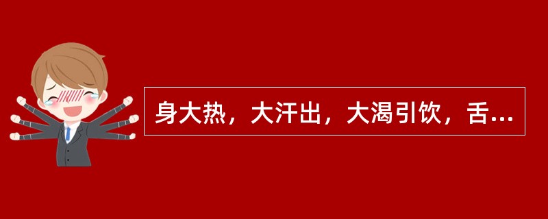 身大热，大汗出，大渴引饮，舌苔黄燥，脉洪，其证候是