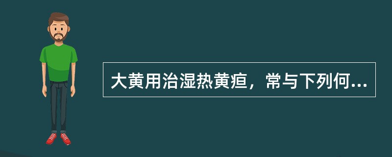 大黄用治湿热黄疸，常与下列何药配伍