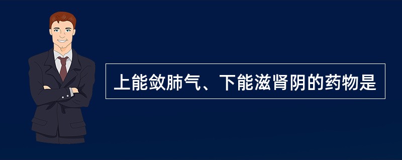 上能敛肺气、下能滋肾阴的药物是