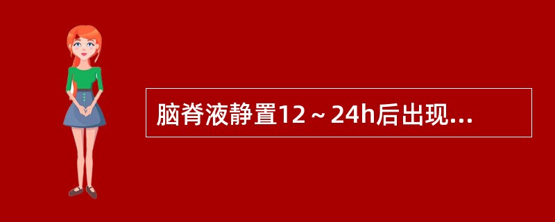 脑脊液静置12～24h后出现纤细的薄膜可能是（）