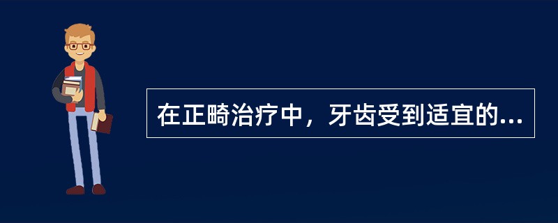 在正畸治疗中，牙齿受到适宜的矫治力时，以下哪种说法正确（）