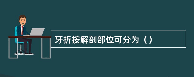 牙折按解剖部位可分为（）