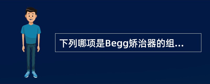 下列哪项是Begg矫治器的组成部分（）