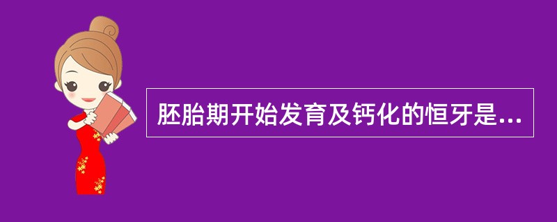 胚胎期开始发育及钙化的恒牙是（）