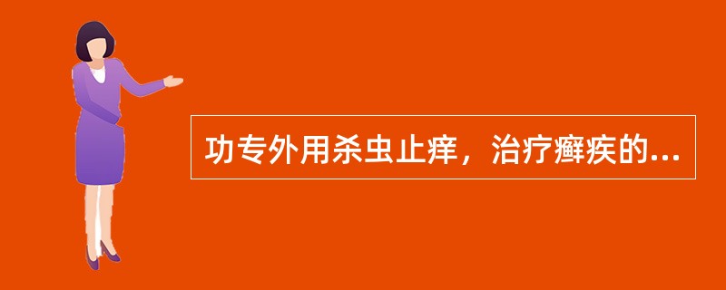 功专外用杀虫止痒，治疗癣疾的药物是：
