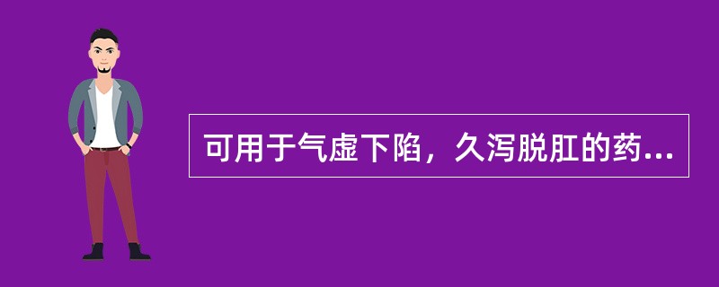 可用于气虚下陷，久泻脱肛的药物是