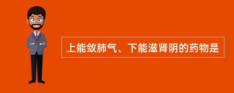 上能敛肺气、下能滋肾阴的药物是