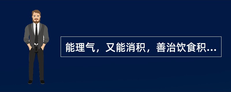 能理气，又能消积，善治饮食积滞脘、腹胀痛的药物是