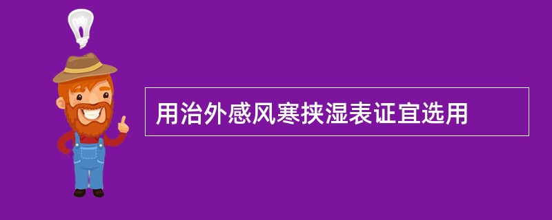 用治外感风寒挟湿表证宜选用